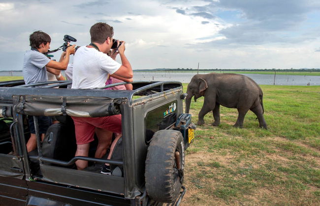 Private Kaudulla National Park Safari - Foto 4