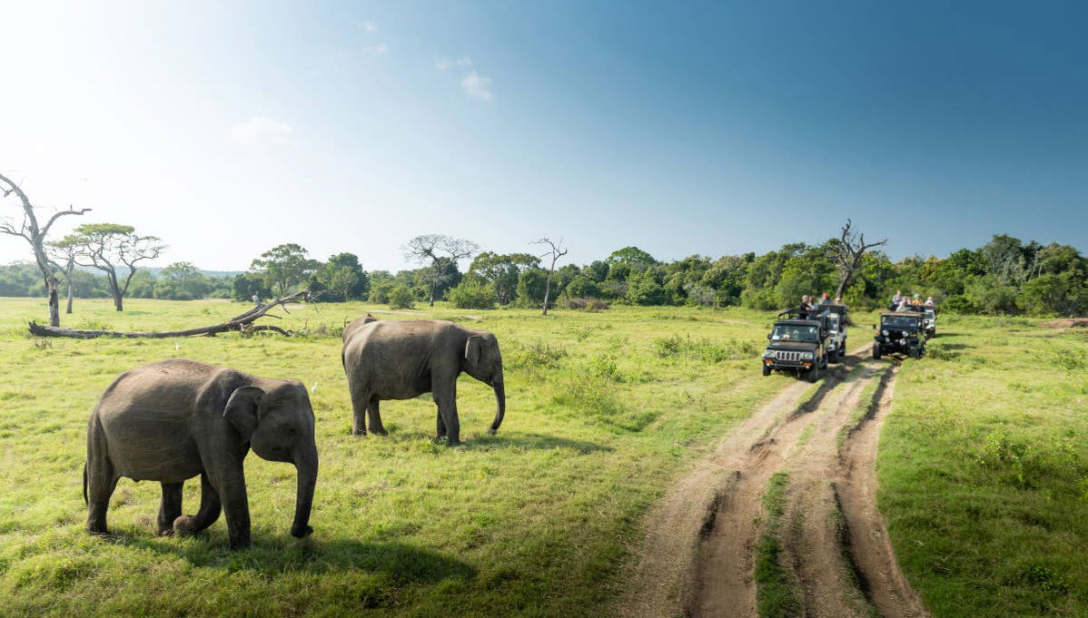 Private Kaudulla National Park Safari - Foto 1