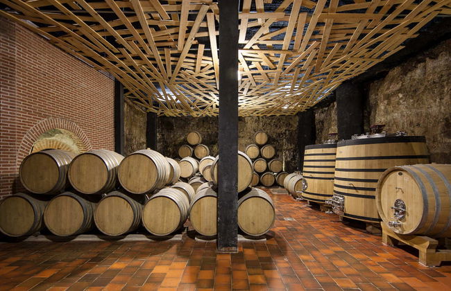 Visita guidata delle cantine Menade - Foto 5