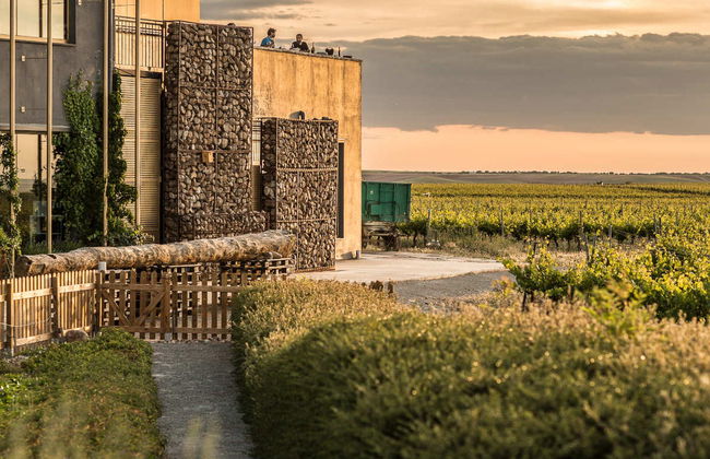 Visita guidata delle cantine Menade - Foto 4