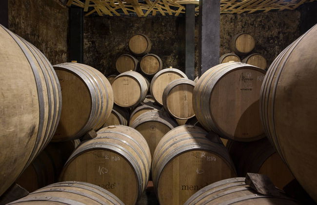 Visita guidata delle cantine Menade - Foto 2