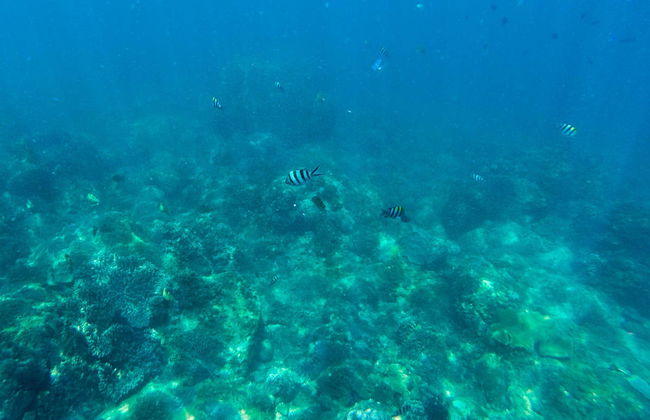 Nha Trang Seawalker Tour - Photo 3