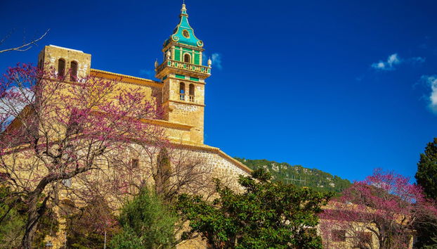 Excursión a Palma y Valldemossa - Foto 2