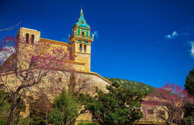 Excursión a Palma y Valldemossa - Foto 2