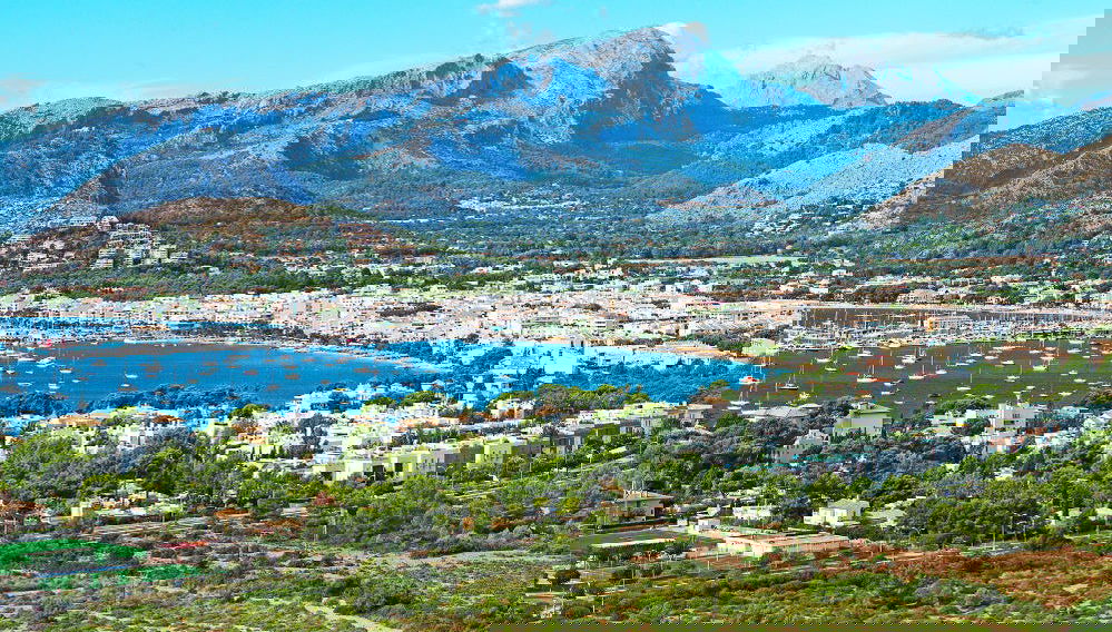 Formentor Beach & Traditional Markets Day Trip from the South - Photo 1