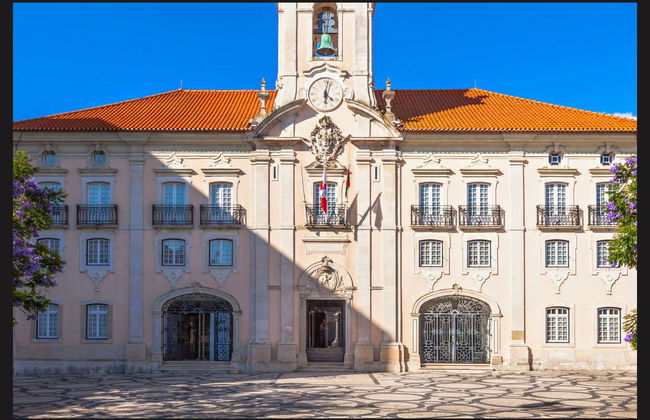 Aveiro Private Tour - Foto 7