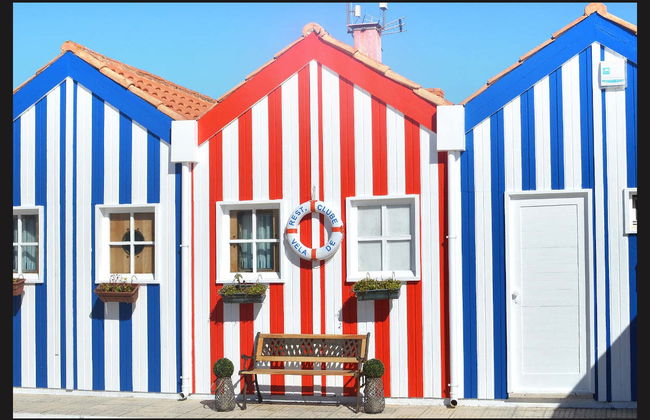 Tour privato di Aveiro - Foto 1