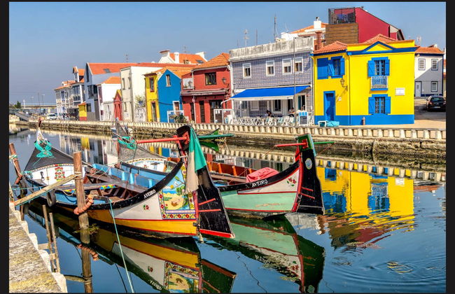 Aveiro Private Tour - Foto 6