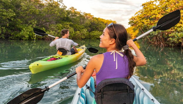 Sierpe River Mangrove Kayak Tour - Foto 3