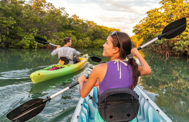 Sierpe River Mangrove Kayak Tour - Foto 3