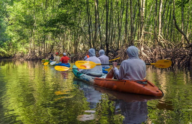 Sierpe River Mangrove Kayak Tour - Foto 5