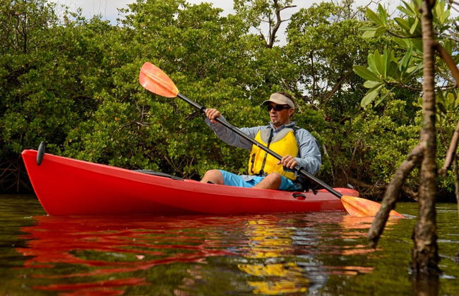 Sierpe River Mangrove Kayak Tour - Foto 1