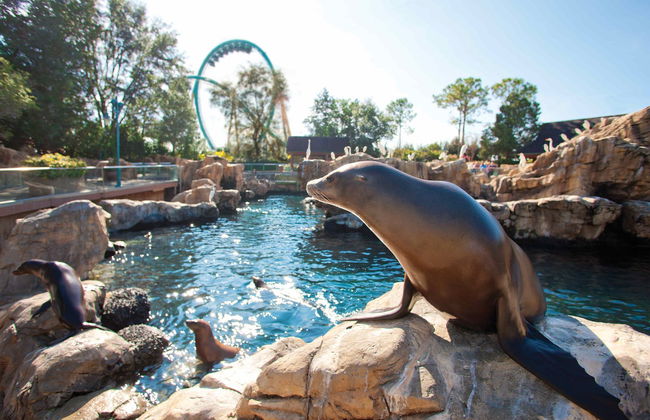 SeaWorld Orlando Ticket - Photo 7