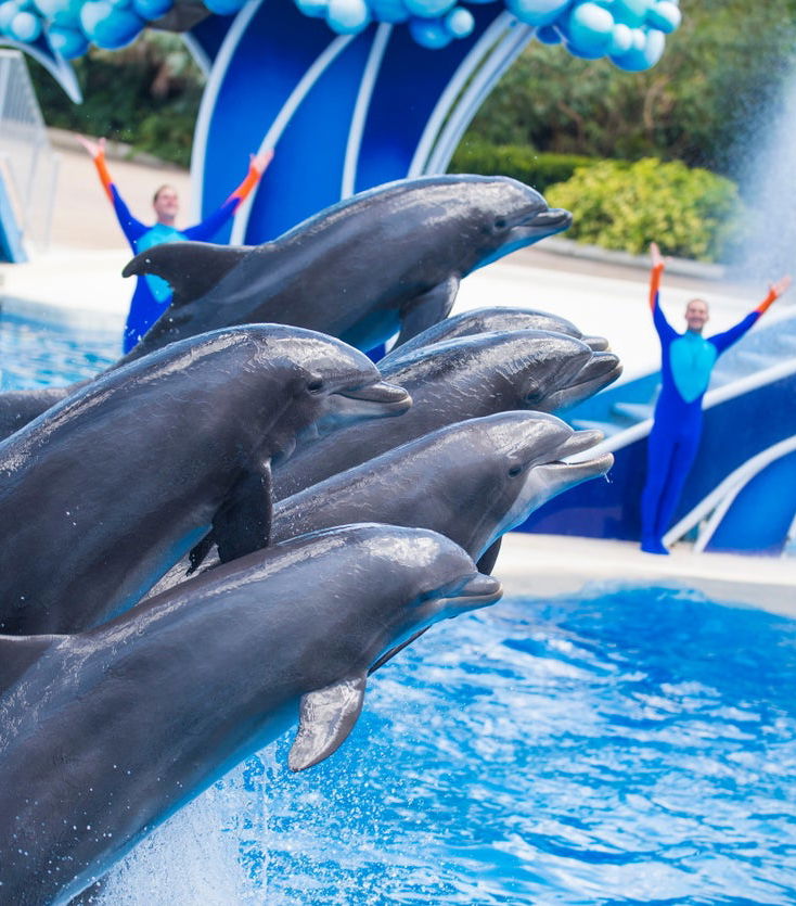 SeaWorld Orlando Ticket