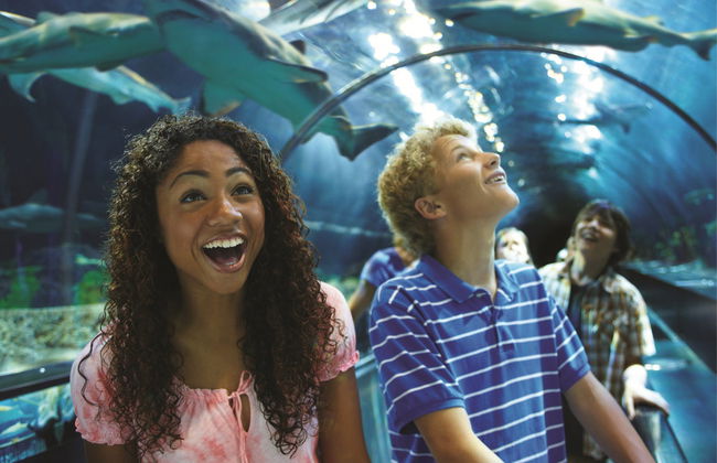 SeaWorld Orlando Ticket - Photo 6