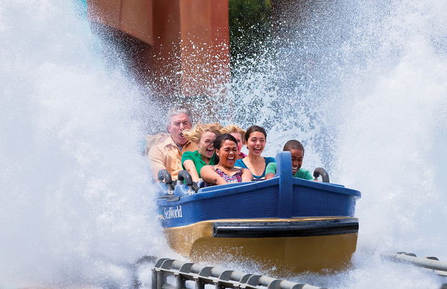 SeaWorld Orlando Ticket - Photo 3