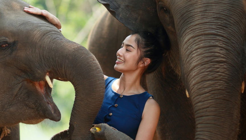 Excursión al santuario de elefantes