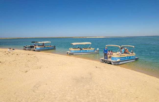 Giro in barca alle isole di Deserta e Farol - Foto 6