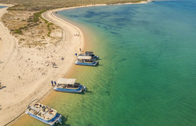 Giro in barca alle isole di Deserta e Farol - Foto 9