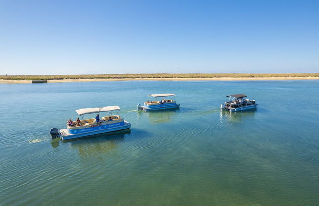 Giro in barca alle isole di Deserta e Farol - Foto 4