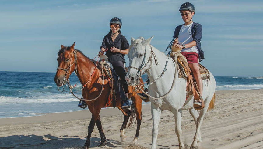 Balade à cheval dans le désert de Los Cabos