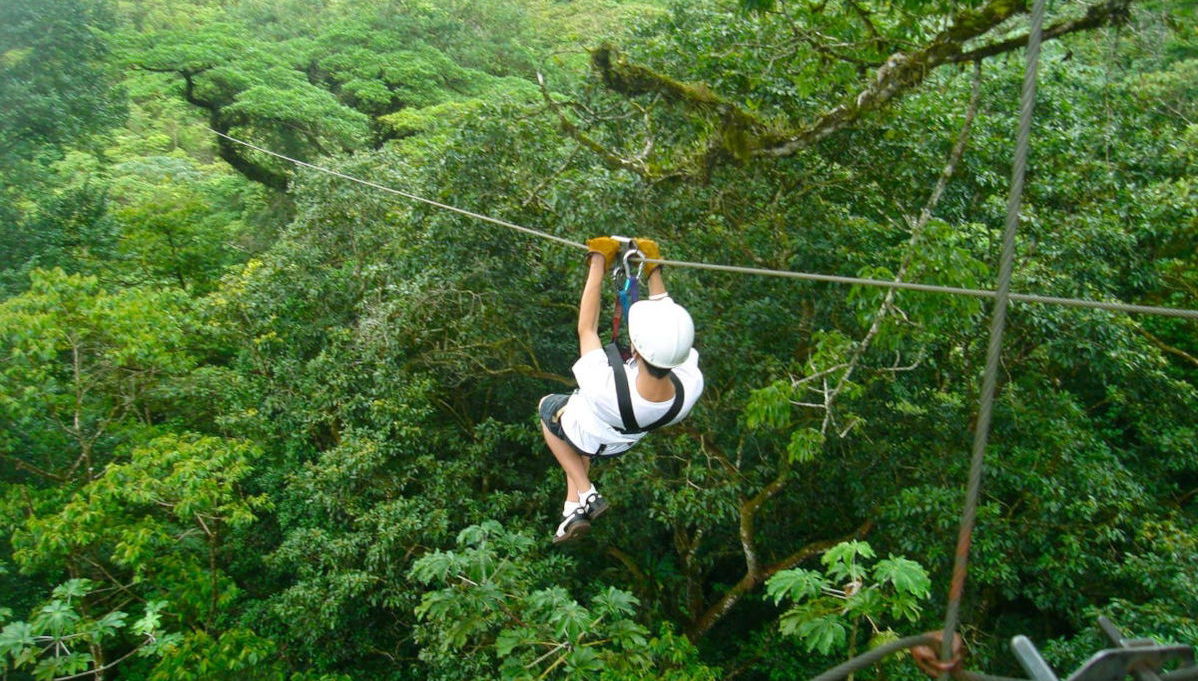 Jungle Zipline Adventure - Foto 1