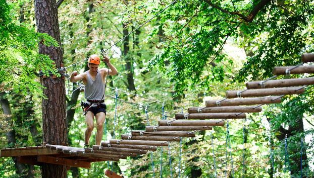 Jungle Zipline Adventure - Foto 3