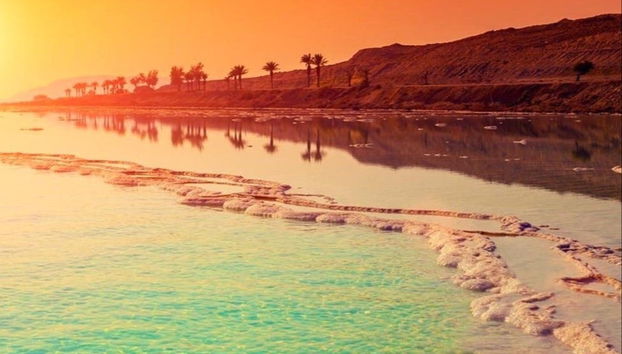 Jerash, Aljoun Castle & Dead Sea Day Trip - Foto 5