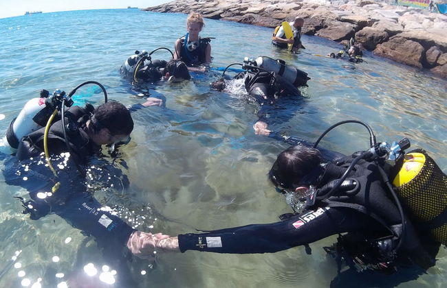 Beginner's Scuba Dive in Tarragona - Photo 4