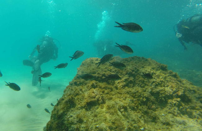 Beginner's Scuba Dive in Tarragona - Photo 3