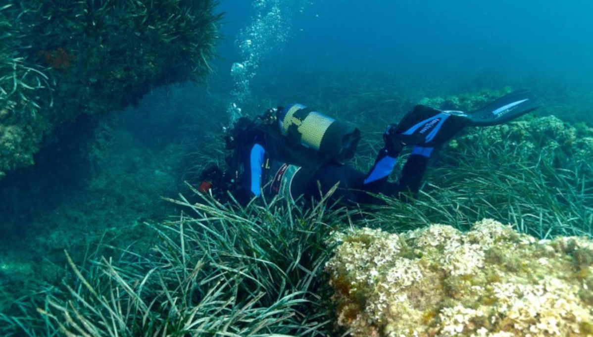 Bautismo de buceo en Tarragona - Foto 1