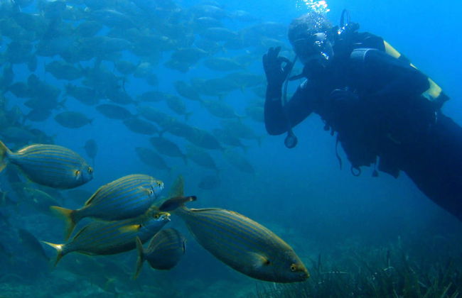 Batismo de mergulho em Tarragona - Foto 2