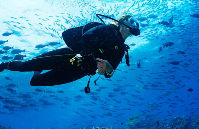 Beginner's Scuba Dive in Tarragona - Photo 5
