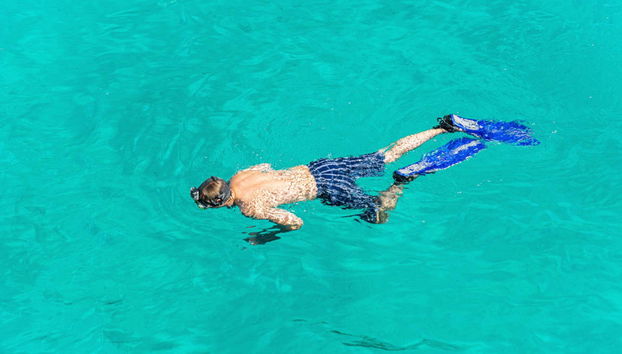 Snorkeling in Cala en Brut - Foto 3