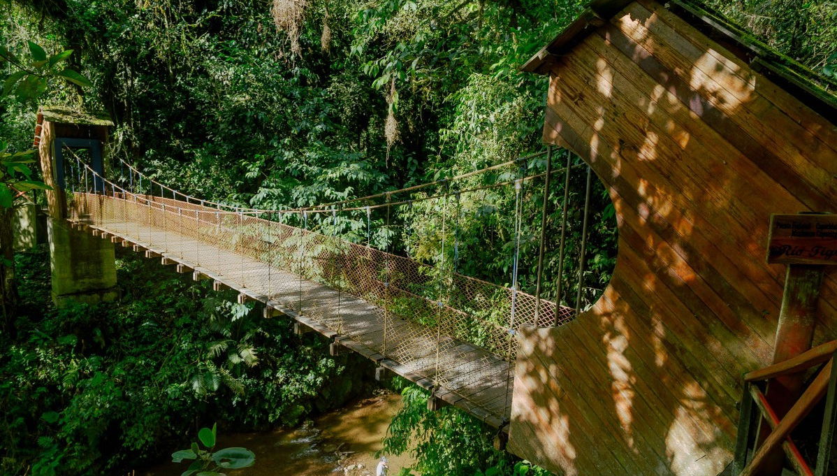 Escursione alla cascata Río Tigre - Foto 1