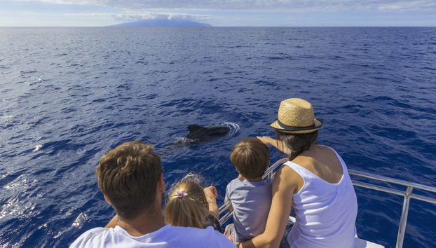 Paseo en velero con avistamiento de cetáceos - Foto 2