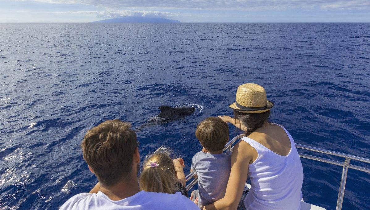 Giro in veliero con avvistamento di cetacei - Foto 1