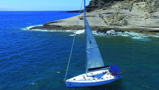 Giro in veliero con avvistamento di cetacei - Foto 3