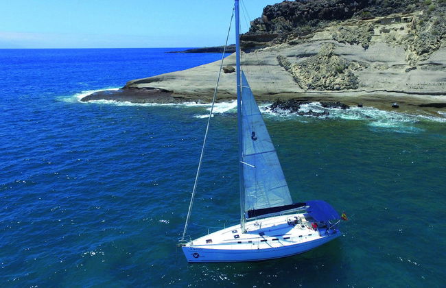 Paseo en velero con avistamiento de cetáceos - Foto 1