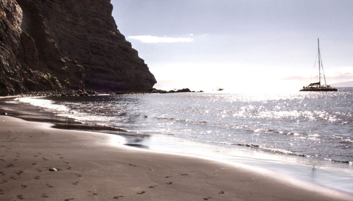 Paseo en catamarán de 3 horas con avistamiento y escucha de cetáceos - Foto 1