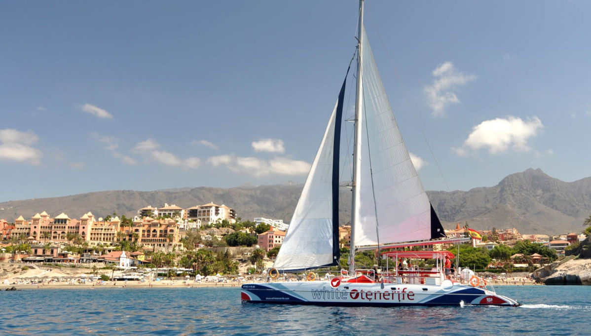 Giro in catamarano di 3 ore con avvistamento e ascolto di cetacei - Foto 1