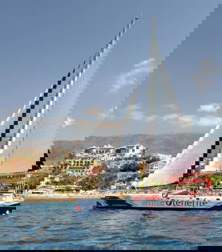 Foto de Paseo en catamarán de 3 horas con avistamiento y escucha de cetáceos