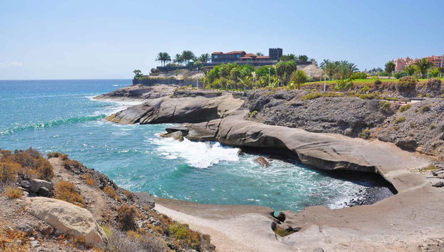 Paseo en catamarán de 3 horas con avistamiento y escucha de cetáceos - Foto 4