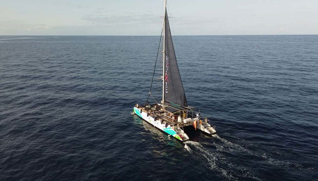 Giro in catamarano di 3 ore con avvistamento e ascolto di cetacei - Foto 4
