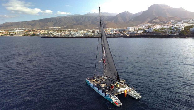 Whale and Dolphin Catamaran Experience - Foto 4