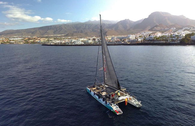 Paseo en catamarán de 3 horas con avistamiento y escucha de cetáceos - Foto 9