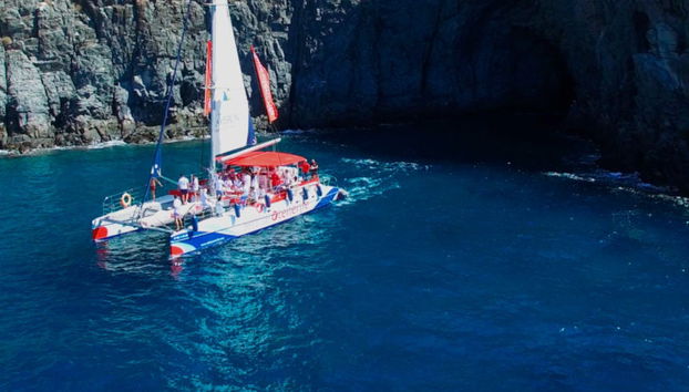 Giro in catamarano di 3 ore con avvistamento e ascolto di cetacei - Foto 5