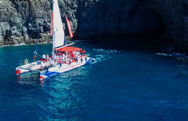 Whale and Dolphin Catamaran Experience - Foto 5