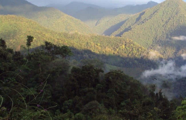 Trek de 4 jours au parc national Los Quetzales - Photo 9