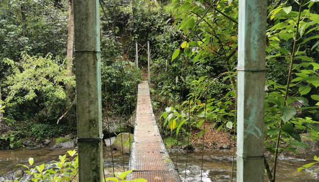 Trekking de 4 días por el Parque Nacional Los Quetzales - Foto 2